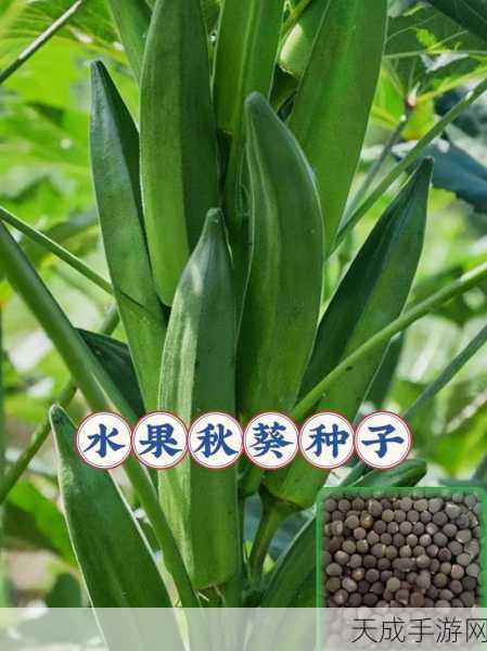 草莓香蕉丝瓜绿巨人秋葵:1. “草莓香蕉丝瓜绿巨人秋葵的奇妙搭配之旅”
