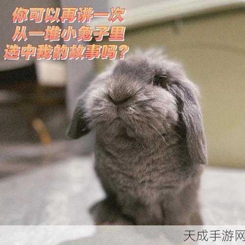 两只大兔子从衬衫里蹦出:当大兔子从衬衫里蹦出,魔幻日常的奇妙冒险