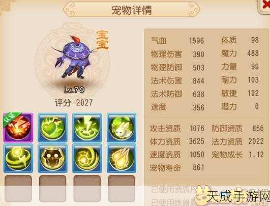 梦幻西游手游龙宫角色宝石搭配与选择策略推荐指南,打造最强法系输出
