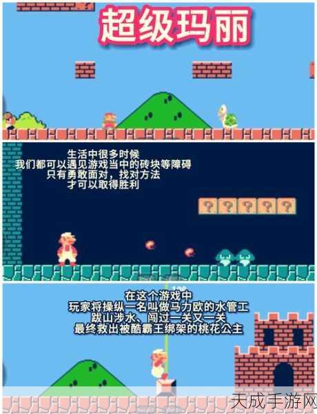 探寻经典乐趣,纯单机不联网小游戏精选集带你重温儿时记忆