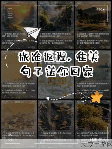 太久永久回家地址tai9.vip保存永远不迷路:1. 永久回家:用tai9.vip找寻归途的指引