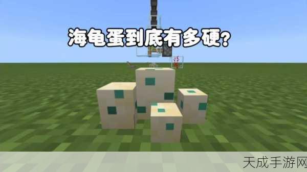 我的世界中海龟壳获取全攻略，最新技巧与实用玩法大揭秘