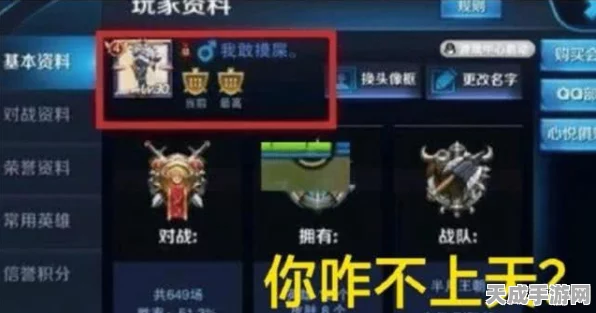 王者荣耀贵族身份隐藏攻略，尊享低调奢华，解锁趣味新玩法