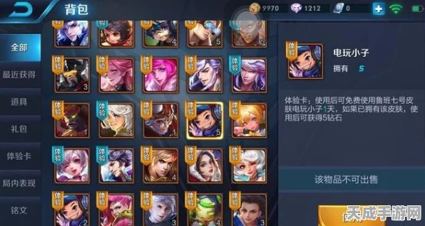 王者荣耀贵族身份隐藏攻略，尊享低调奢华，解锁趣味新玩法
