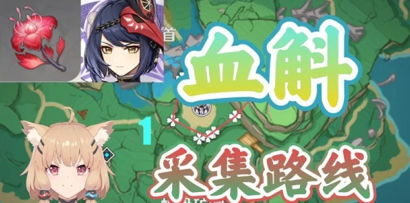 原神血斛采集全攻略，探索稻妻的奇妙之旅与趣味玩法