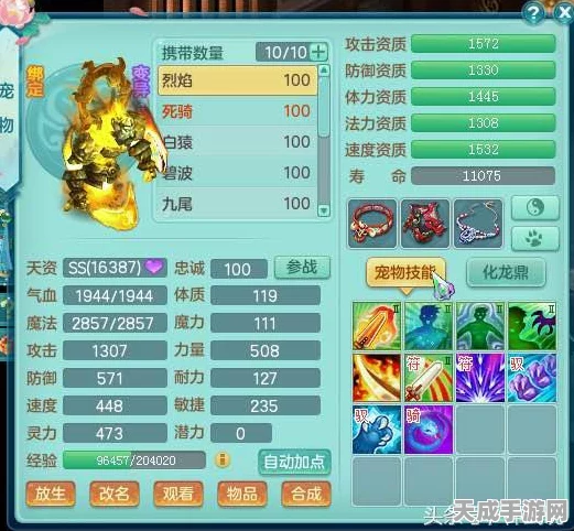 神武手游75级熊宠加点攻略，打造无敌肉盾输出新体验