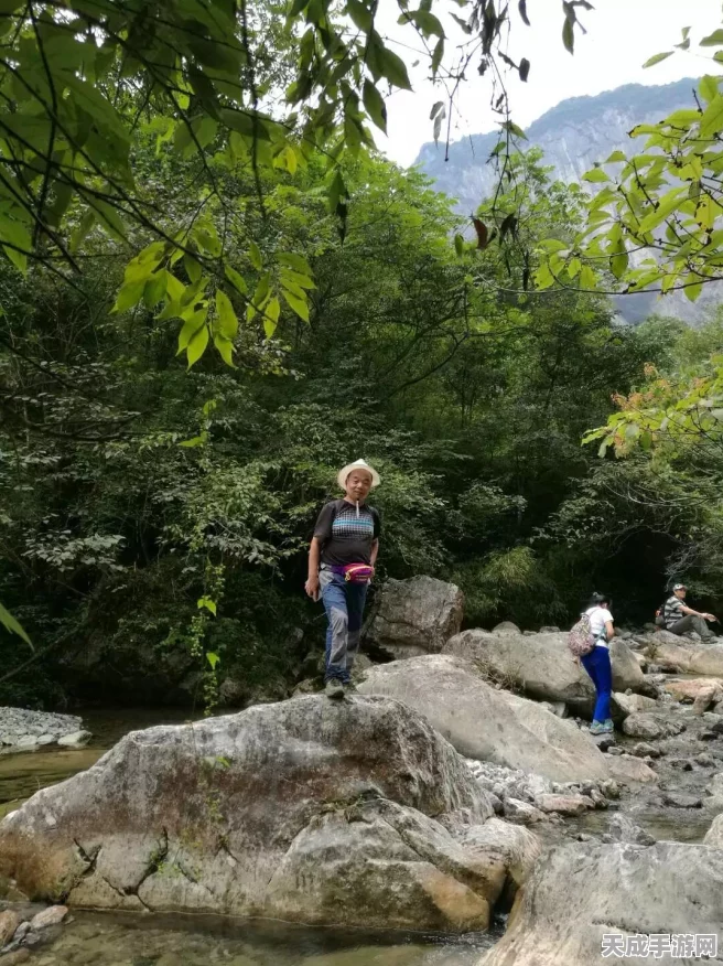 探秘怒目怪，独特属性与应对策略