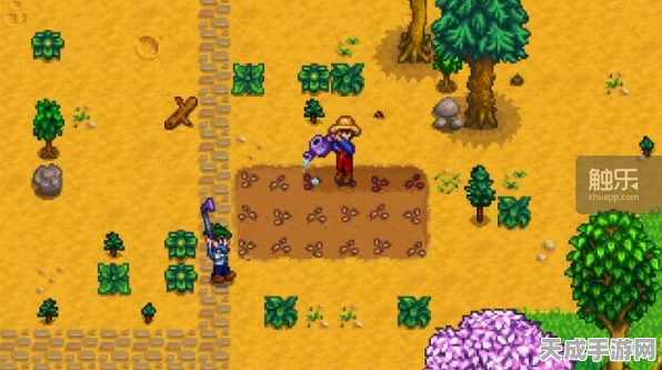 星露谷物语Steam版中文设置全攻略及趣味玩法揭秘