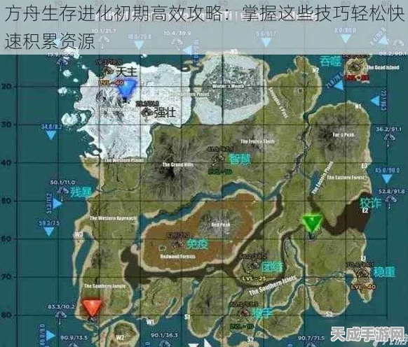方舟生存进化2025年热门攻略，揭秘高效伐木策略，探寻顶级伐木龙种，飞速积累木材资源秘籍