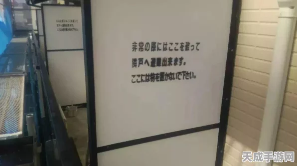 地铁逃生游戏火爆全网，网友热议，哪个板子更实用？深度玩法评价与推荐指南！