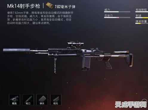 绝地求生刺激战场深度解析，妹控MK14——全能战士的终极武器全面攻略