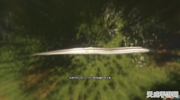 古剑奇谭3阳平钓鱼点全揭秘，探索与解锁的乐趣
