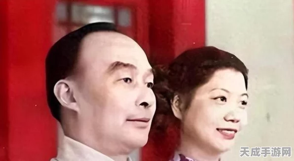 火炬之光，无限哪个职业最耀眼？深度解析与趣味玩法揭秘