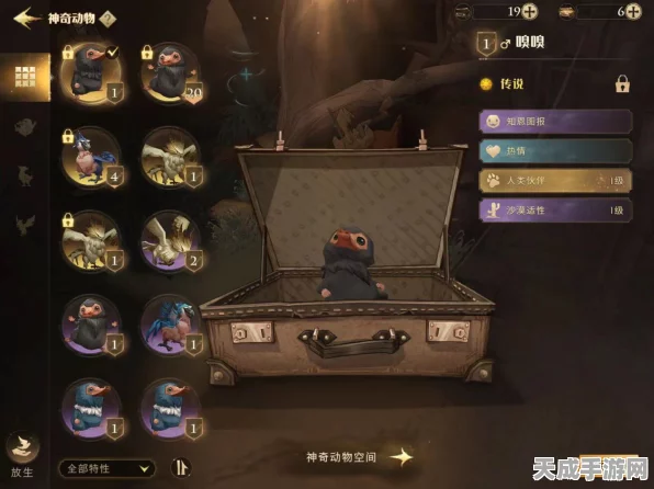 哈利波特:魔法觉醒深度解析，哈利金色飞贼与嗅嗅，哪个是你的魔法伙伴首选？