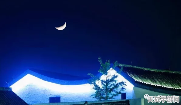 梦幻西游手游映月技巧全揭秘，探索月光下的奇幻冒险