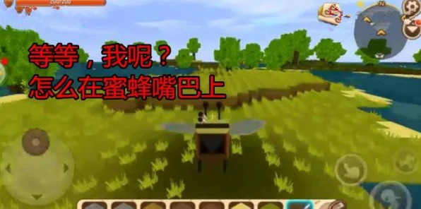 我的世界驯服蜜蜂全攻略，打造甜蜜家园的趣味玩法