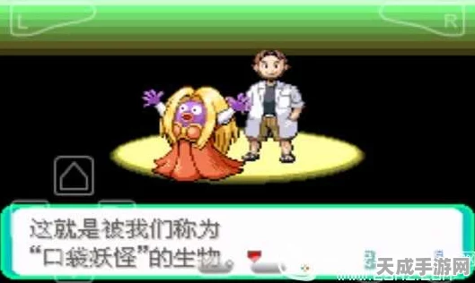 口袋妖怪绿宝石493，探索精灵世界的全新蜕变