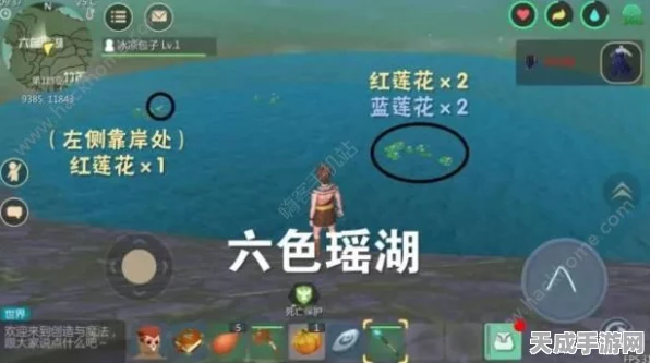 创造与魔法手游深度解析，虎皮鲨饲料制作秘籍及趣味玩法探索