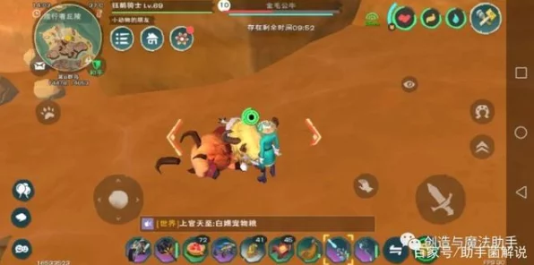 创造与魔法纳坦果的奇妙用途与趣味玩法探索