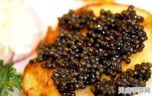幻塔，探索美食之旅，揭秘鱼子酱获取秘籍与趣味玩法全览